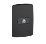TOMA COAXIAL TV - GRAFITO ARMADA