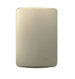 PLACA CIEGA CON SOPORTE - DORADO