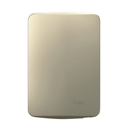 PLACA CIEGA CON SOPORTE - DORADO