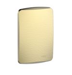PLACA CIEGA CON SOPORTE - METAL DORADO