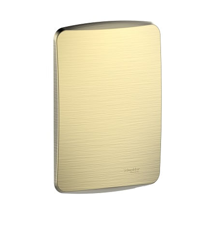 PLACA CIEGA C/SOPORTE METAL DORADO MILUZ S3B77108